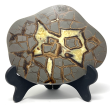 Load image into Gallery viewer, Septarian Nodule